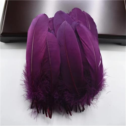 Großpackung mit steifen Federkielen, natürliche Federn, 13–18 cm, für DIY-Schmuck, Basteln und dekorative Heimverzierungen Großpackung mit steifen Federkielen, natürliche Federn, 13–18 cm, für DIY-Schmuck, Basteln und dekorative Heimverzierungen von Generisch