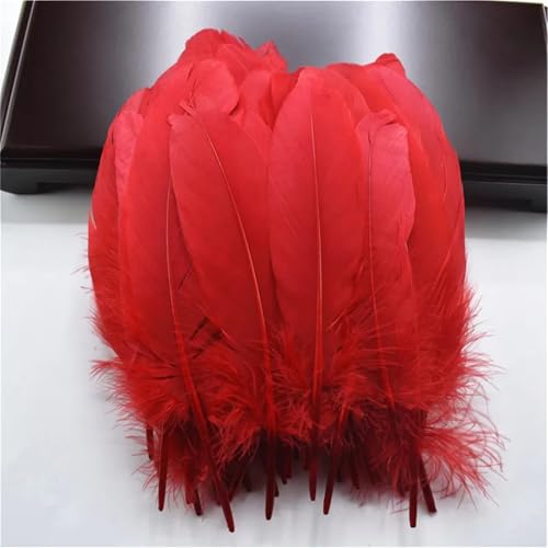 Großpackung mit steifen Federkielen, natürliche Federn, 13–18 cm, für DIY-Schmuck, Basteln und dekorative Heimverzierungen Großpackung mit steifen Federkielen, natürliche Federn, 13–18 cm, für DIY-Schmuck, Basteln und dekorative Heimverzierungen von Generisch