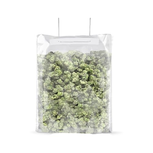 Grove Bags TerpLoc - div.Größen: Special Editions - 3,5g - 7g - 15g - 30g - 100g - 250g - 500g (1, 19L Terpy Bag) von Generisch