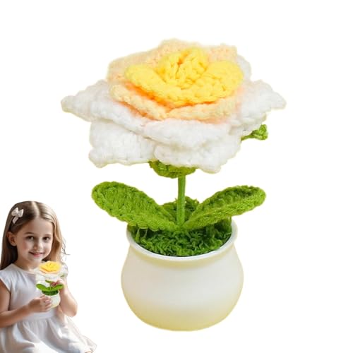 Häkelblume | Häkelblumen, Topfpflanzen, Strickblumen – Farbverlauf, bunte Blume, Häkel-Schreibtisch-Dekorationen für Auto, Armaturenbrett, Heimbüro Häkelblume | Häkelblumen, Topfpflanzen, Strickblumen – Farbverlauf, bunte Blume, Häkel-Schreibtisch-Dekorationen für Auto, Armaturenbrett, Heimbüro von Generisch