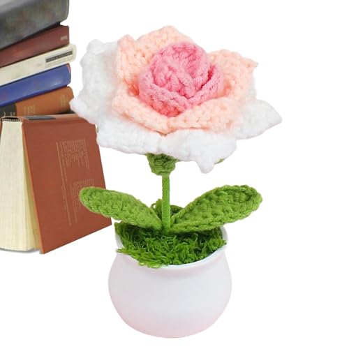 Häkelblumen, Häkelblumen – handgefertigte gestrickte Rosen, gehäkelte Topfpflanzen, Schreibtischdekorationen mit Farbverlauf, bunte Blumen für Mutter, Ehefrau, Cumpl Häkelblumen, Häkelblumen – handgefertigte gestrickte Rosen, gehäkelte Topfpflanzen, Schreibtischdekorationen mit Farbverlauf, bunte Blumen für Mutter, Ehefrau, Cumpl von Generisch
