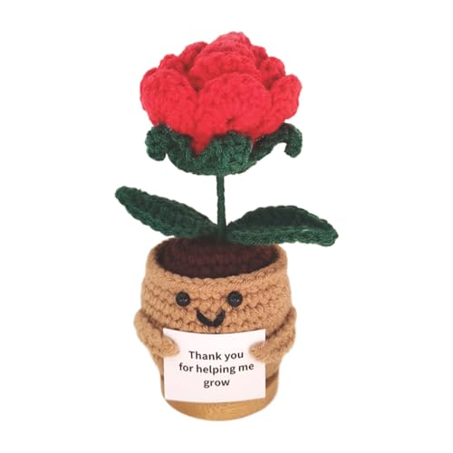 Häkelblumen, Handstrick Plant Pot, Denken Häkelblume Im, Inspirierende Deko Mit Karte Für Frauen Studentinnen Zuhause Kollegen Freunde Auto Arbeitsplatz Schreibtisch von Generisch