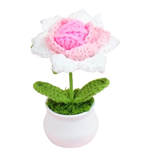 Häkelblumen, handgefertigte gestrickte Rosen, gehäkelte Topfpflanzen – niedliche gehäkelte Auto-Dekoration, Blumen-Schreibtisch-Dekorationen, Geschenk für Frauen, Mutter, Ehefrau Häkelblumen, handgefertigte gestrickte Rosen, gehäkelte Topfpflanzen – niedliche gehäkelte Auto-Dekoration, Blumen-Schreibtisch-Dekorationen, Geschenk für Frauen, Mutter, Ehefrau von Generisch