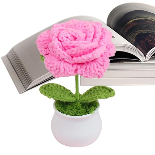 Häkelblumen | Handgefertigte gestrickte Rosen gehäkelte Topfpflanzen – Schreibtischblumen, kleine Topfpflanzen, Häkeldekoration, Geschenk für Mutter, Ehefrau, Auto, Armaturenbrett, Heimbüro Häkelblumen | Handgefertigte gestrickte Rosen gehäkelte Topfpflanzen – Schreibtischblumen, kleine Topfpflanzen, Häkeldekoration, Geschenk für Mutter, Ehefrau, Auto, Armaturenbrett, Heimbüro von Generisch