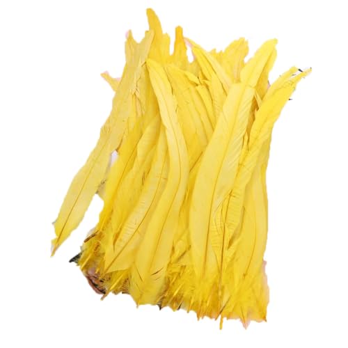 Hahnenschwanzfedern, 25–45 cm, natürliche Federn für DIY, Kostüm, Schmuck, Bastelzubehör, Party, Gelb, 30–35 cm, 100 Stück Hahnenschwanzfedern, 25–45 cm, natürliche Federn für DIY, Kostüm, Schmuck, Bastelzubehör, Party, Gelb, 30–35 cm, 100 Stück von Generisch