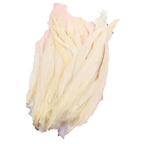Hahnenschwanzfedern, 25–45 cm, natürliche Federn für DIY-Kostüm, Schmuck, Bastelzubehör, Party, Beige, 30–35 cm, 100 Stück Hahnenschwanzfedern, 25–45 cm, natürliche Federn für DIY-Kostüm, Schmuck, Bastelzubehör, Party, Beige, 30–35 cm, 100 Stück von Generisch