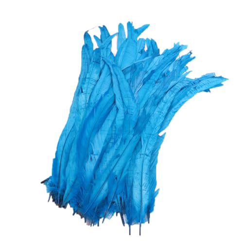 Hahnenschwanzfedern, 25–45 cm, natürliche Federn für DIY-Kostüm, Schmuck, Bastelzubehör, Party, Türkis, 25–30 cm, 100 Stück Hahnenschwanzfedern, 25–45 cm, natürliche Federn für DIY-Kostüm, Schmuck, Bastelzubehör, Party, Türkis, 25–30 cm, 100 Stück von Generisch