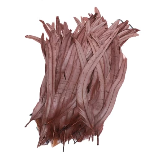 Hahnenschwanzfedern, 25–45 cm, natürliche Federn für selbstgemachte Kostüme, Schmuck, Bastelzubehör, Party, Kaffee, 35–40 cm, 100 Stück von Generisch
