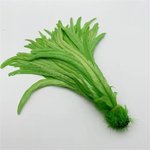 Hahnenschwanzfedern, 30–35 cm, zum Selbermachen von Kostümen, Basteln, Zuhause, Hochzeitsdekoration, Schmuck, Party, Obst, EN8, 30–35 cm, 100 Stück Hahnenschwanzfedern, 30–35 cm, zum Selbermachen von Kostümen, Basteln, Zuhause, Hochzeitsdekoration, Schmuck, Party, Obst, EN8, 30–35 cm, 100 Stück von Generisch