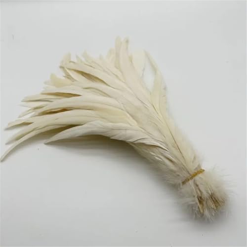 Hahnenschwanzfedern, 35-40/5-30/30-35 cm, für Kostüme, Basteln, Zuhause, Hochzeitsdekoration, rohes Weiß, 40–45 cm, 500 Stück von Generisch