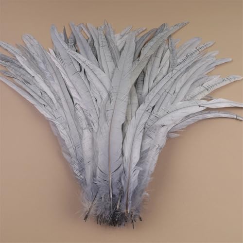 Hahnfedern, 35–40 cm, 40–45 cm, Handwerk, DIY, Naturfedern, Handarbeit, Party, Karneval, Dekoration, Grau, 35–40 cm, 500 Stück Hahnfedern, 35–40 cm, 40–45 cm, Handwerk, DIY, Naturfedern, Handarbeit, Party, Karneval, Dekoration, Grau, 35–40 cm, 500 Stück von Generisch