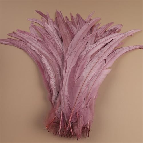 Hahnfedern, 35–40 cm, 40–45 cm, Handwerk, DIY, Naturfedern, Handarbeit, Party, Karneval, Dekoration, Leder, Pnnrk, 35–40 cm, 500 Stück Hahnfedern, 35–40 cm, 40–45 cm, Handwerk, DIY, Naturfedern, Handarbeit, Party, Karneval, Dekoration, Leder, Pnnrk, 35–40 cm, 500 Stück von Generisch
