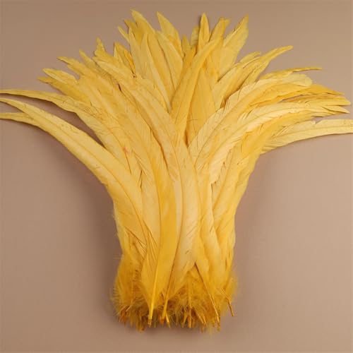 Hahnfedern 35-40 cm 40-45 cm Basteln DIY Naturfeder Handarbeit Party Karneval Dekoration Goldgelb 35-40 cm 500 Stück von Generisch