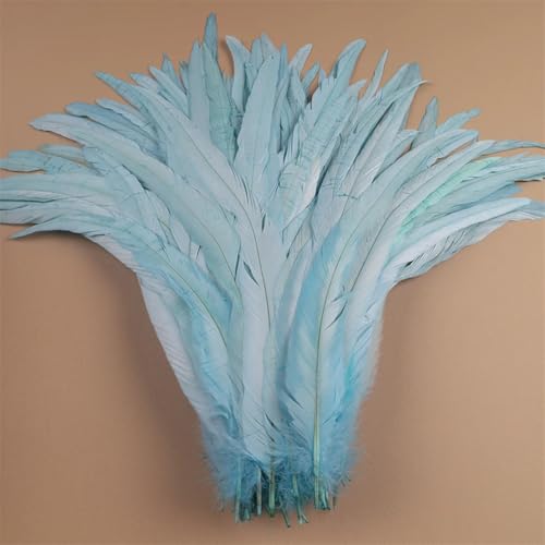 Hahnfedern 35-40 cm 40-45 cm Basteln DIY Naturfeder Handarbeit Party Karneval Dekoration Himmelblau 40-45 cm 500 Stück Hahnfedern 35-40 cm 40-45 cm Basteln DIY Naturfeder Handarbeit Party Karneval Dekoration Himmelblau 40-45 cm 500 Stück von Generisch