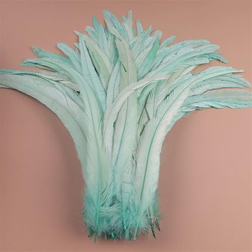 Hahnfedern 35-40 cm 40-45 cm Basteln DIY Naturfeder Handarbeit Party Karneval Dekoration Mint EN8 40-45 cm 500 Stück Hahnfedern 35-40 cm 40-45 cm Basteln DIY Naturfeder Handarbeit Party Karneval Dekoration Mint EN8 40-45 cm 500 Stück von Generisch