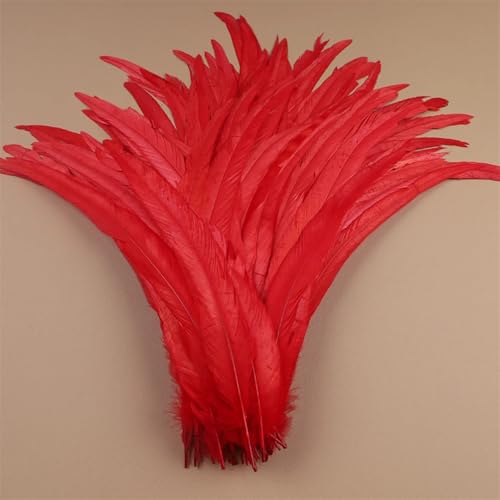 Hahnfedern 35-40 cm 40-45 cm Basteln DIY Naturfeder Handarbeit Party Karneval Dekoration Rot 35-40 cm 500 Stück von Generisch