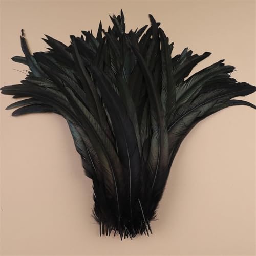 Hahnfedern 35-40 cm 40-45 cm Basteln DIY Naturfeder Handarbeit Party Karneval Dekoration Schwarz 35-40 cm 500 Stück Hahnfedern 35-40 cm 40-45 cm Basteln DIY Naturfeder Handarbeit Party Karneval Dekoration Schwarz 35-40 cm 500 Stück von Generisch