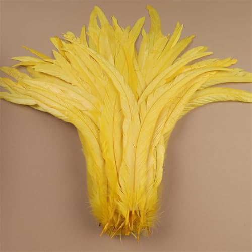 Hahnfedern 35-40 cm 40-45 cm Handwerk Handwerk DIY Natürliche Feder Handarbeit Party Karneval Dekoration Gelb 35-40 cm 100 Stück Hahnfedern 35-40 cm 40-45 cm Handwerk Handwerk DIY Natürliche Feder Handarbeit Party Karneval Dekoration Gelb 35-40 cm 100 Stück von Generisch