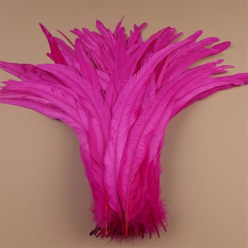 Hahnfedern 35-40 cm 40-45 cm Handwerk Handwerk DIY Naturfeder Handarbeit Party Karneval Dekoration Fuchsia 35-40 cm 500 Stück von Generisch