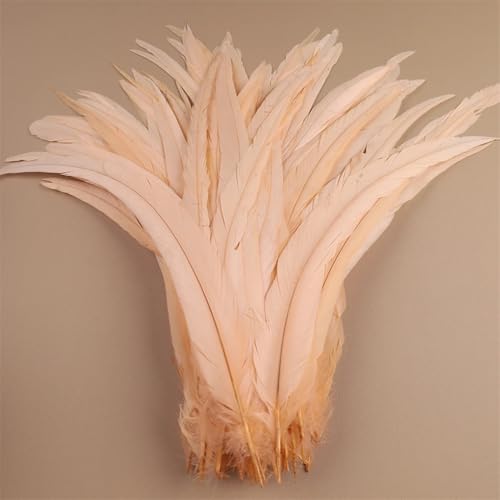 Hahnfedern 35-40 cm 40-45 cm Handwerk Handwerk DIY Naturfeder Handarbeit Party Karneval Dekoration Koralle 40-45 cm 500 Stück Hahnfedern 35-40 cm 40-45 cm Handwerk Handwerk DIY Naturfeder Handarbeit Party Karneval Dekoration Koralle 40-45 cm 500 Stück von Generisch