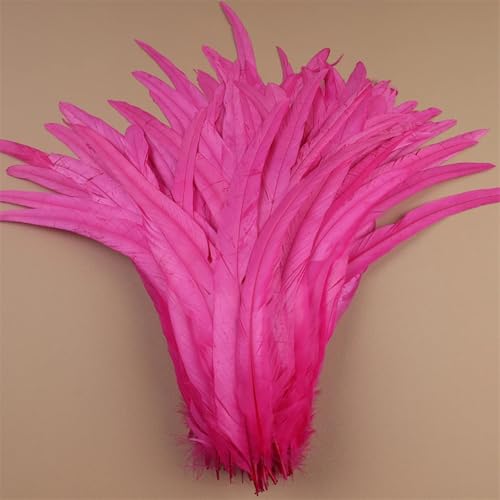 Hahnfedern 35-40 cm 40-45 cm Handwerk Handwerk DIY Naturfeder Handarbeit Party Karneval Dekoration Pfirsich 35-40 cm 500 Stück Hahnfedern 35-40 cm 40-45 cm Handwerk Handwerk DIY Naturfeder Handarbeit Party Karneval Dekoration Pfirsich 35-40 cm 500 Stück von Generisch