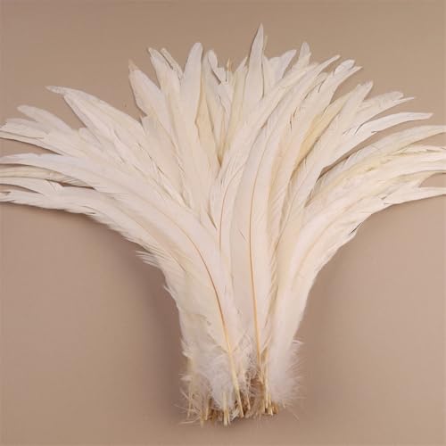 Hahnfedern 35-40 cm 40-45 cm Handwerk Handwerk DIY Naturfeder Handarbeit Party Karneval Dekoration Strand Weiß 35-40 cm 500 Stück Hahnfedern 35-40 cm 40-45 cm Handwerk Handwerk DIY Naturfeder Handarbeit Party Karneval Dekoration Strand Weiß 35-40 cm 500 Stück von Generisch