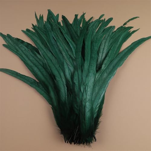 Hahnfedern 35-40cm 40-45cm Handwerk Handwerk DIY Naturfeder Handarbeit Party Karneval Dekoration Wald EN8 35-40cm 500pcs Hahnfedern 35-40cm 40-45cm Handwerk Handwerk DIY Naturfeder Handarbeit Party Karneval Dekoration Wald EN8 35-40cm 500pcs von Generisch