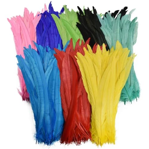 Hahnfedern für Bastelarbeiten, Kostüme und Halloween, Karneval, Zubehör, Bastelbedarf, mehrfarbig, 30–35 cm, 50 Stück von Generisch
