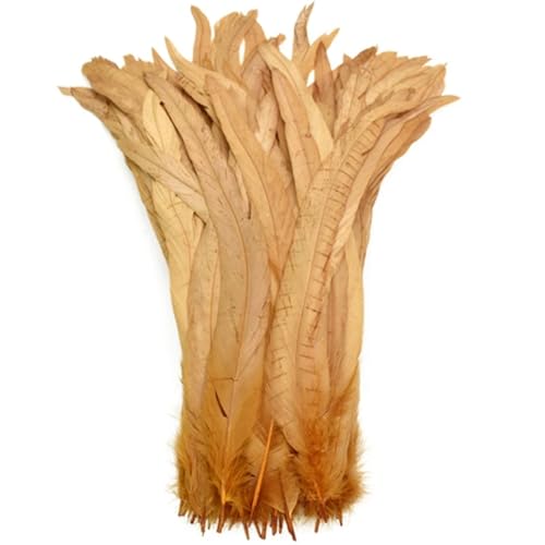 Hahnfedern zum Basteln, langer Fasan, Karneval, Hochzeit, Dekoration, Khaki, 25–30 cm, 100 Stück Hahnfedern zum Basteln, langer Fasan, Karneval, Hochzeit, Dekoration, Khaki, 25–30 cm, 100 Stück von Generisch