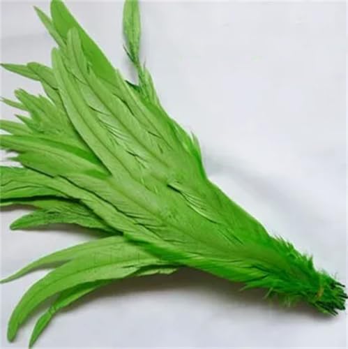 Hahnschwanz-Feder, Bastelzubehör, Hochzeit, Party, Obst, EN8, 40–45 cm, 30–35 cm von Generisch