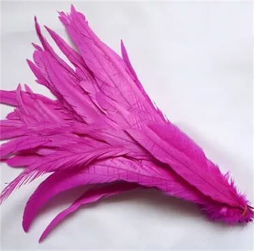 Hahnschwanz-Feder, Naturbraun, DIY, Kleidung, Schmuck, Accessoires, Hochzeit, Party, Zubehör, Rosenrot, 25–30 cm Hahnschwanz-Feder, Naturbraun, DIY, Kleidung, Schmuck, Accessoires, Hochzeit, Party, Zubehör, Rosenrot, 25–30 cm von Generisch