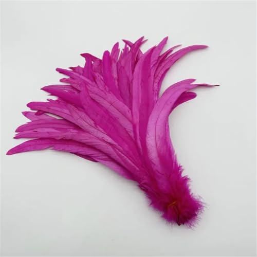Hahnschwanzfedern, 1200 Stück, DIY für Kostüm, DIY, Basteln, Zuhause, Hochzeitsdekoration, Bekleidungszubehör, Schmuck, Pfirsichrot, 25–30 cm Hahnschwanzfedern, 1200 Stück, DIY für Kostüm, DIY, Basteln, Zuhause, Hochzeitsdekoration, Bekleidungszubehör, Schmuck, Pfirsichrot, 25–30 cm von Generisch