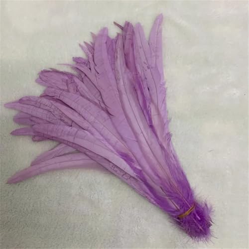 Hahnschwanzfedern, zum Selbermachen von Kostümen, Basteln, Zuhause, Hochzeitsdekoration, Schmuck, Party, Hellviolett, 40–45 cm, 100 Stück von Generisch