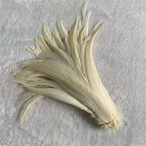 Hahnschwanzfedern für Kostüme, Bastelarbeiten, Zuhause, Hochzeitsdekoration, Beige, 40–45 cm, 500 Stück von Generisch