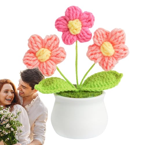 Handgefertigte Häkelblumen, künstlerischer Wollstrauß, lebendige Blumendekorationen, Schreibtisch-Bastelornamente, waschbar und wiederverwendbar, dekorative Idee für - und Party-Dekoration von Generisch
