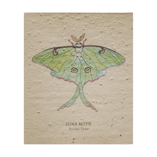 Handmade Paper Plantable | Plantable Paper Cards with Envelopes | Handmade Paper Recycled Paper Embedded With Wildflower For Birthday Handmade Paper Plantable | Plantable Paper Cards with Envelopes | Handmade Paper Recycled Paper Embedded With Wildflower For Birthday von Generisch