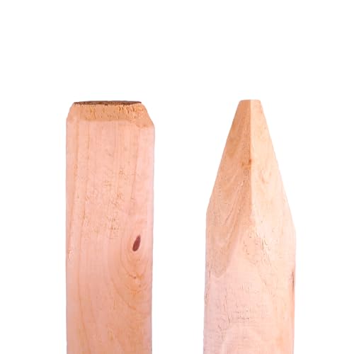 Holzpfahl gespitzt 6 cm Ø aus unbehandeltem Naturholz | 100/125/150 cm Länge | Zaunpfahl Gartenpfahl Pflanzstab Rankhilfe Weidezaun Pfosten naturbelassen | nachhaltig aus Deutschland (100 cm Länge) von Generisch