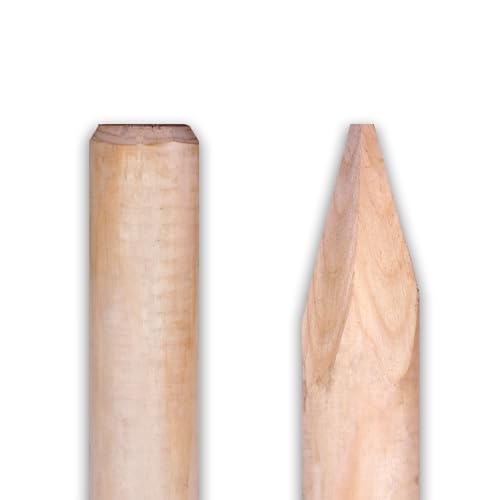 Holzpfahl rund Ø 10 cm Natur | Naturbelassen & Unbehandelt | maschinell gefräst & angespitzt | 100 / 125 / 150 cm Länge | Einzelpfosten für Garten, Zaun, Pflanzenstütze (150 cm Länge) von Generisch