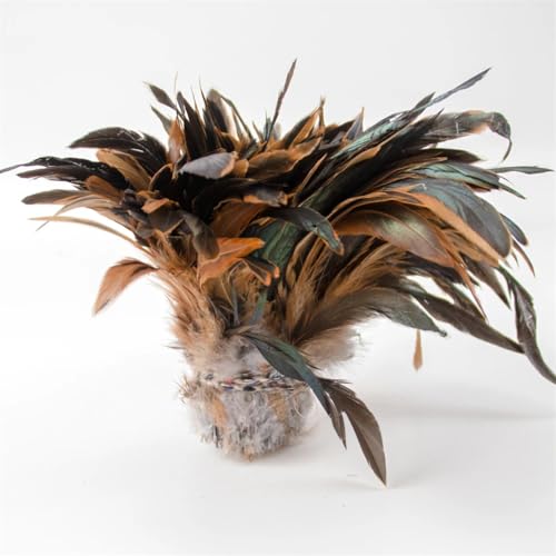 Hühnerfedern mit Hahn, 800–1000 Stück/Los, für Hochzeit, Karneval, Show, Performance, Kleidung, Dekoration, Basteln, Grau, 800–1000 Stück Hühnerfedern mit Hahn, 800–1000 Stück/Los, für Hochzeit, Karneval, Show, Performance, Kleidung, Dekoration, Basteln, Grau, 800–1000 Stück von Generisch