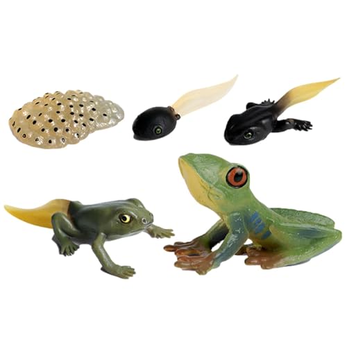 Insektenlebenszyklus -Figuren | Insekten- Und Tierlebenszyklus -Figuren Gesetzt | Bildungsspielzeugkit Mit Schmetterling, Motte, Frosch, Schildkröte Und Ameisenbühnen | Spielzeug Für Kinderlernen Und von Generisch