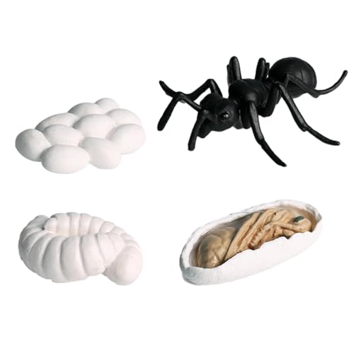 Insektenlebenszyklus -Figuren | Insekten- Und Tierlebenszyklus -Figuren Gesetzt | Bildungsspielzeugkit Mit Schmetterling, Motte, Frosch, Schildkröte Und Ameisenbühnen | Spielzeug Für Kinderlernen Und von Generisch