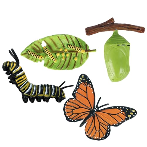 Insektenlebenszyklusspielzeug - Geschmacklosen Lebenszyklus -Statuen | Wachstumszyklusstadien PP -Figuren, Bildungsinsekten -Figuren -Kit Einschließlich Schmetterling, Frosch, Schildkröte, Motte, Amei von Generisch
