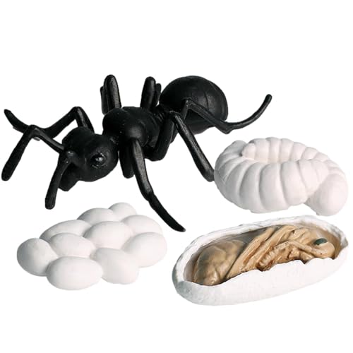 Insektenlebenszyklusspielzeug - Geschmacklosen Lebenszyklus -Statuen | Wachstumszyklusstadien PP -Figuren, Bildungsinsekten -Figuren -Kit Einschließlich Schmetterling, Frosch, Schildkröte, Motte, Amei von Generisch
