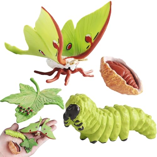 Insektenlebenszyklusspielzeug - Geschmacklosen Lebenszyklus -Statuen | Wachstumszyklusstadien PP -Figuren, Bildungsinsekten -Figuren -Kit Einschließlich Schmetterling, Frosch, Schildkröte, Motte, Amei von Generisch
