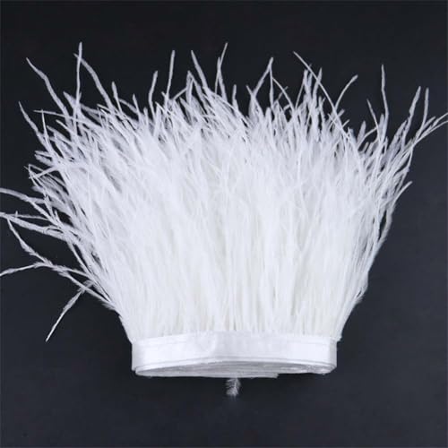 Lange Federborte, natürliche Straußenfedern, Borte, Band für Kleidung, Nähen, Dekoration, 6–18 cm, Bleichweiß, 10–15 cm Lange Federborte, natürliche Straußenfedern, Borte, Band für Kleidung, Nähen, Dekoration, 6–18 cm, Bleichweiß, 10–15 cm von Generisch