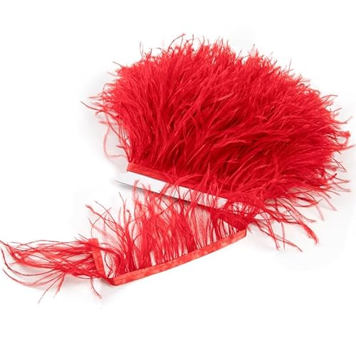 Lange Federborte, natürliche Straußenfedern, Borte, Band für Kleidung, Nähen, Dekoration, 6–18 cm, Lila, 10–15 cm Lange Federborte, natürliche Straußenfedern, Borte, Band für Kleidung, Nähen, Dekoration, 6–18 cm, Lila, 10–15 cm von Generisch