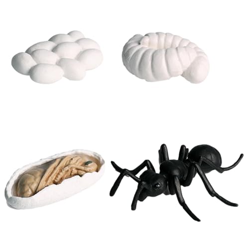 Lebenszyklus -Figuren - Insektenlebenszyklus -Figuren | Geschmackslosen Lebenszyklus -Figuren, Motte, Schmetterling, Schildkröte, Arbeiter Ant, Frosch -PP -Insekten -Figuren Spielzeugkit Zur Verbesser von Generisch