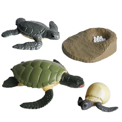 Lebenszyklus -Figuren - Insektenlebenszyklus -Figuren | Geschmackslosen Lebenszyklus -Figuren, Motte, Schmetterling, Schildkröte, Arbeiter Ant, Frosch -PP -Insekten -Figuren Spielzeugkit Zur Verbesser von Generisch