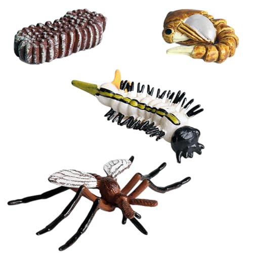 Lebenszyklus -Figuren - Insektenlebenszyklus -Figuren | Geschmackslosen Lebenszyklus -Figuren, Motte, Schmetterling, Schildkröte, Arbeiter Ant, Frosch -PP -Insekten -Figuren Spielzeugkit Zur Verbesser von Generisch