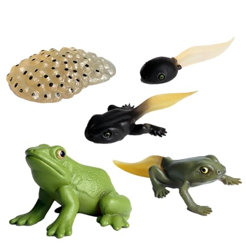 Lebenszyklus -Figuren - Insektenlebenszyklus -Figuren | Geschmackslosen Lebenszyklus -Figuren, Motte, Schmetterling, Schildkröte, Arbeiter Ant, Frosch -PP -Insekten -Figuren Spielzeugkit Zur Verbesser von Generisch
